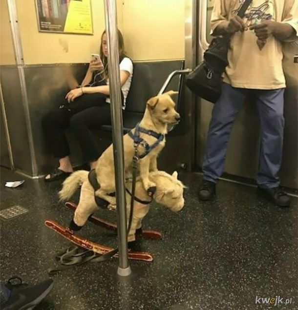 Dziwni ludzie spotkani w metrze, obrazek 18