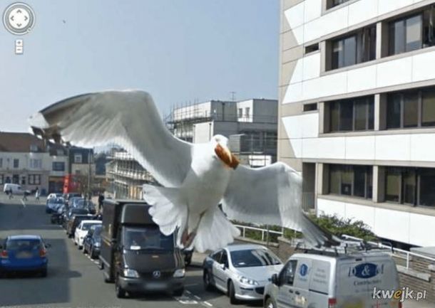 Dziwne sytuacje uchwycone w Google StreetView, obrazek 19