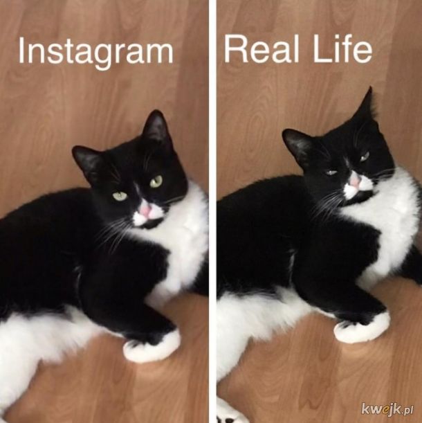 Instagram kontra rzeczywistość, bo ludzie nigdy się nie nauczą, obrazek 5