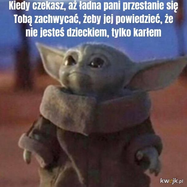 Memy z małym Yodą, obrazek 18