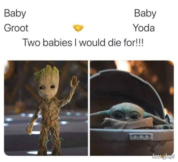 Memy z małym Yodą, obrazek 3