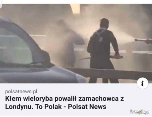 Niezwyciężeni Polacy