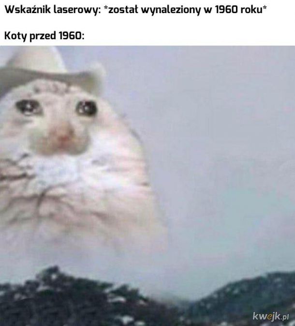 Jakie smutne były koteczki