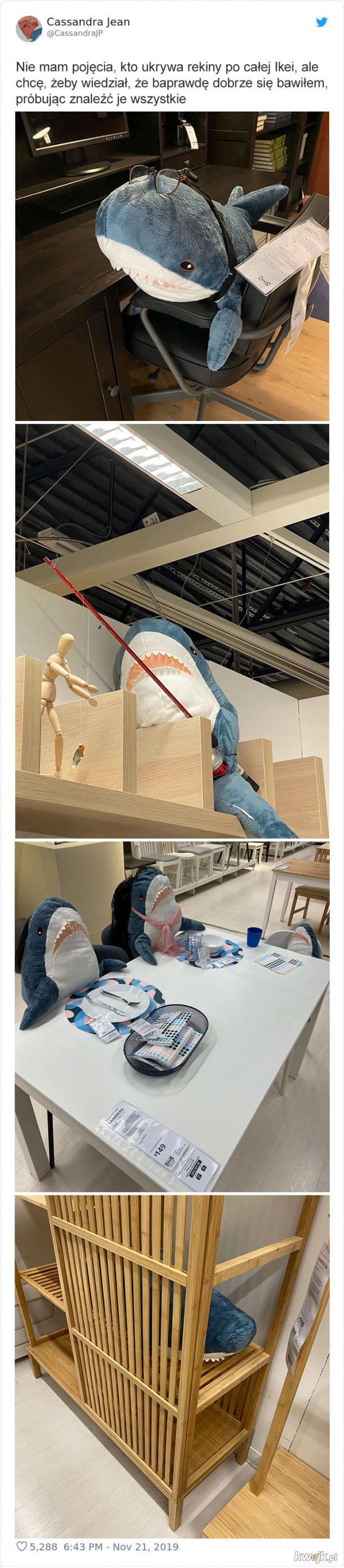 Ktoś chowa pluszowe rekiny po całej Ikei, a ludzie próbują je znaleźć, obrazek 3