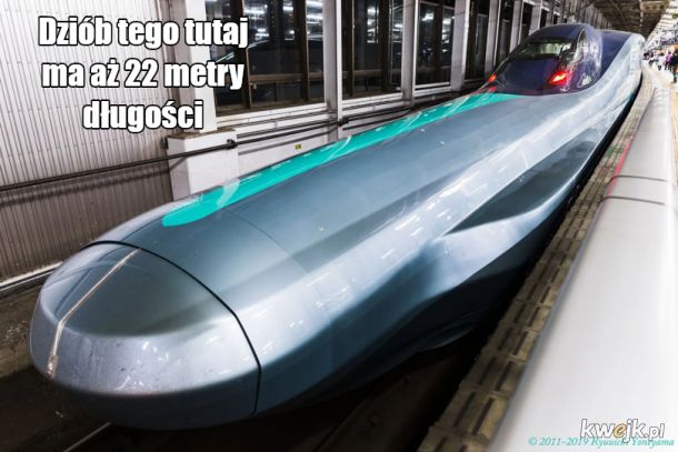 Symbol rozwoju Japonii - nowe projekty pociągów Shinkansen, obrazek 4