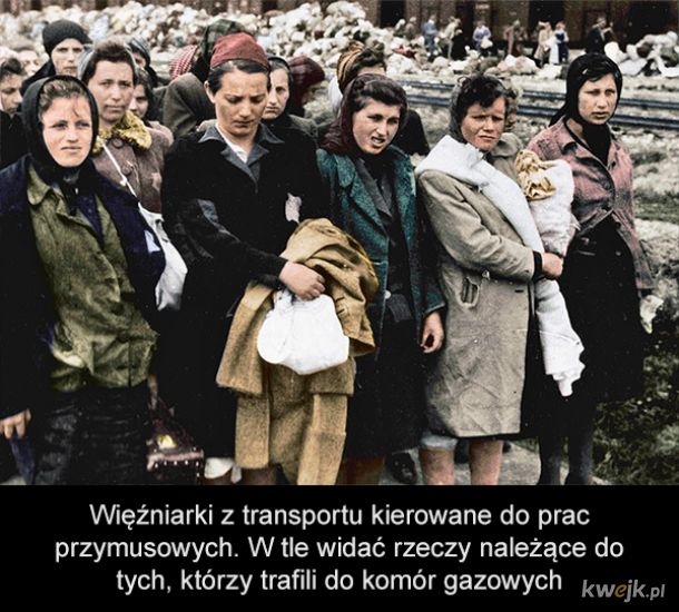 Holokaust na zdjęciach w kolorze, obrazek 4