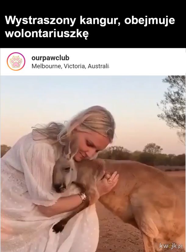Co się dzieje w Australii i kto w tej chwili ratuje ludzi i zwierzęta