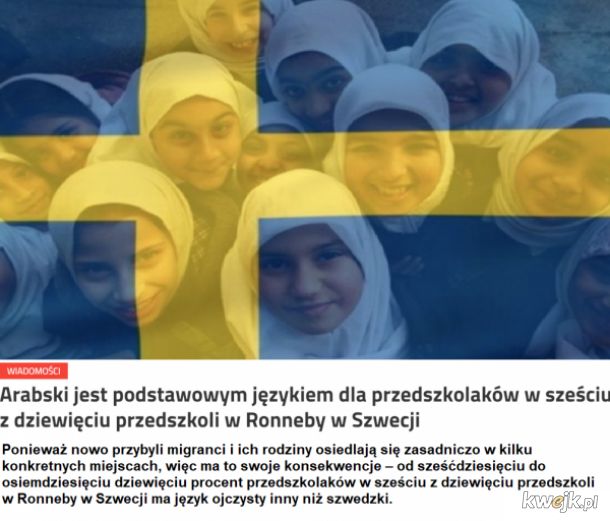 Kolonizacja Szwecji