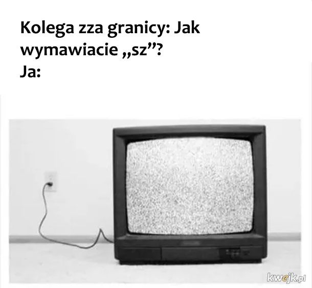 Nauka polskiego