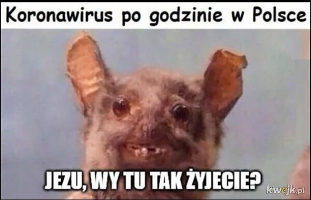 Koronawirus już w Polsce - najlepsze memy i reakcje internautów, obrazek 4