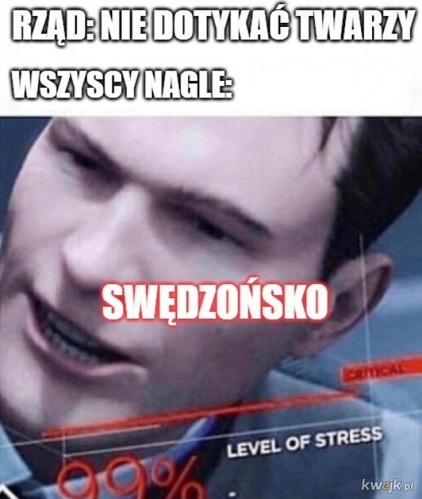 Swędzońsko