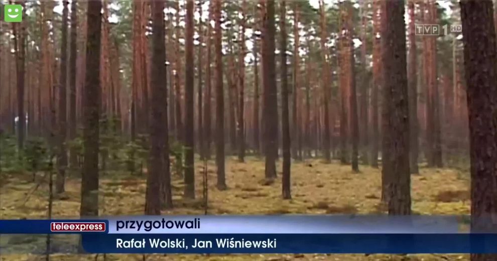 kwejk.pl