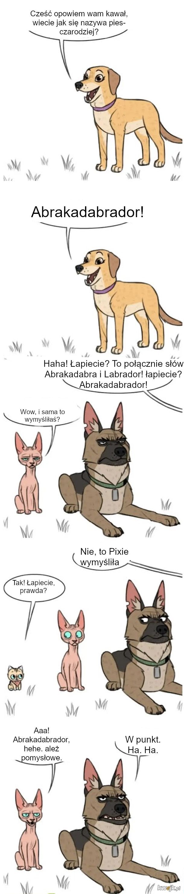 Pixie i Brutus: czyli komiksy o dużym psie i małym kotku, obrazek 6