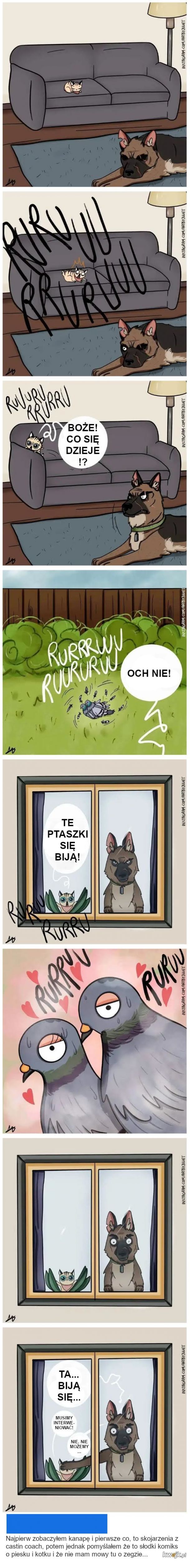 Pixie i Brutus: czyli komiksy o dużym psie i małym kotku, obrazek 4