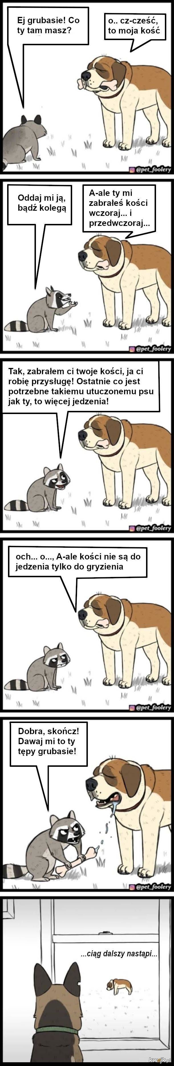 Pixie i Brutus: czyli komiksy o dużym psie i małym kotku, obrazek 7