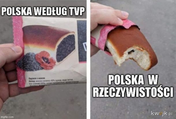 Polska w TVP