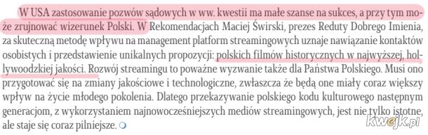 Najdziwniejsze i najciekawsze fragmenty z raportu Reduty Dobrego Imienia o "zniesławieniach Polski w serwisach streamingowych", obrazek 8