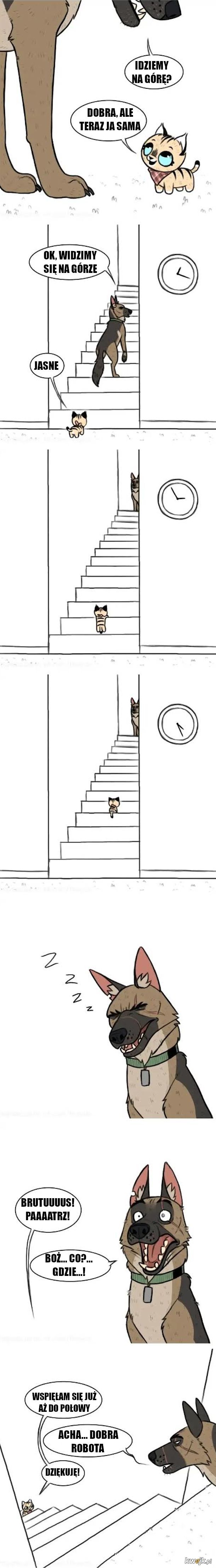 Pixie i Brutus: czyli komiksy o dużym psie i małym kotku