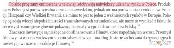Najdziwniejsze i najciekawsze fragmenty z raportu Reduty Dobrego Imienia o "zniesławieniach Polski w serwisach streamingowych", obrazek 19
