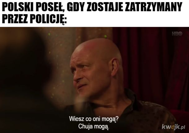 Polski poseł