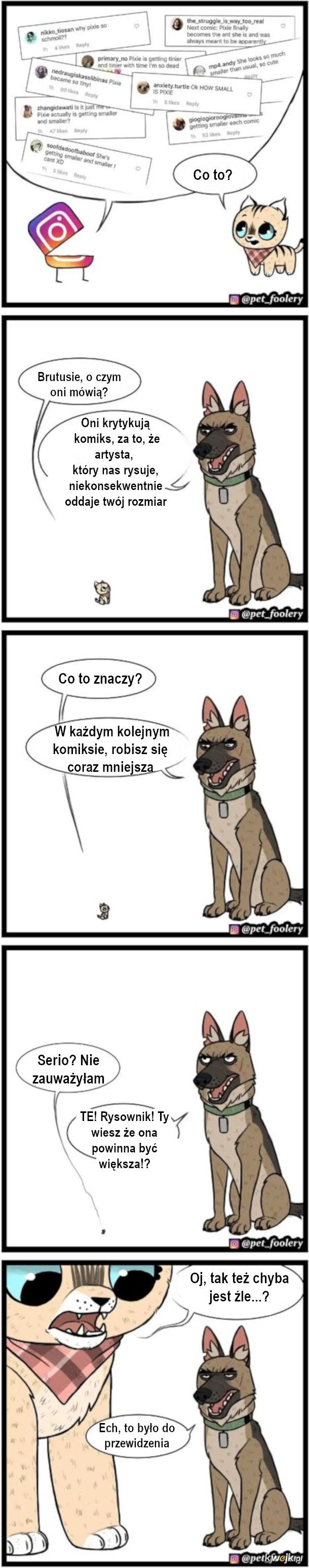 Pixie i Brutus: czyli komiksy o dużym psie i małym kotku, obrazek 13