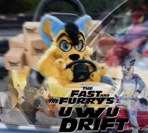 Fast and Furrys