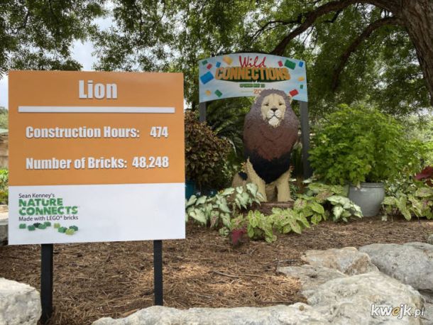 Zoo w San Antonio zastąpiło zwierzęta okazami zrobionymi z klocków Lego