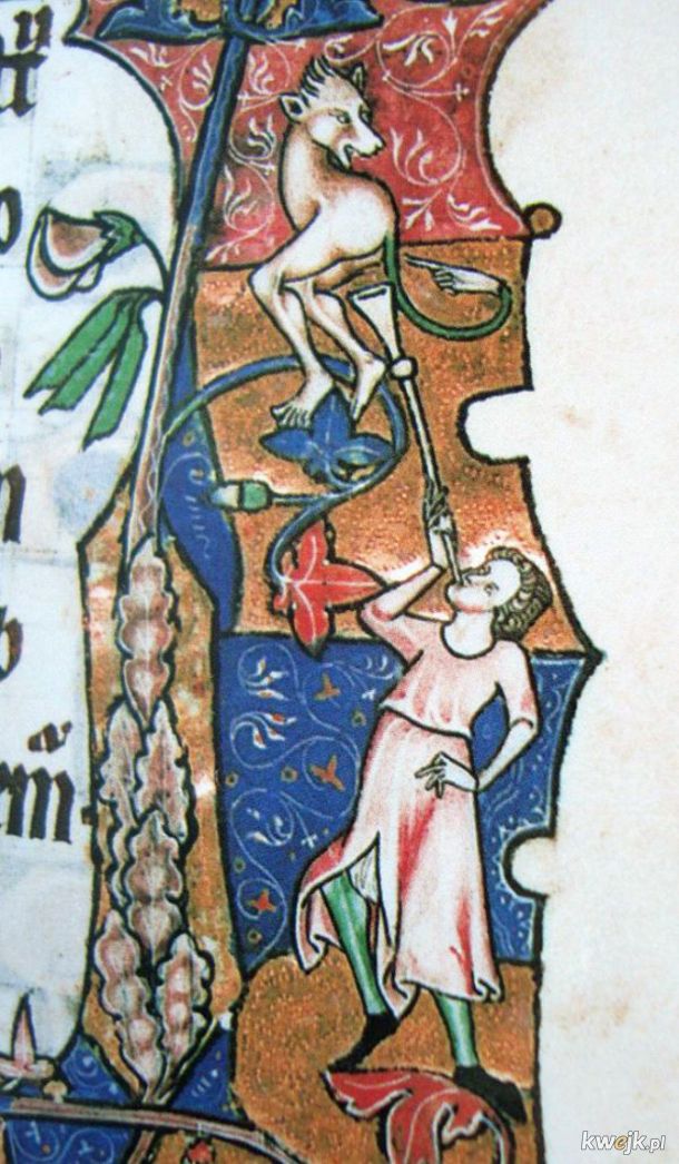 Średniowieczni iluminatorzy naprawdę mieli dziwny fetysz trąbek w pupie, obrazek 9