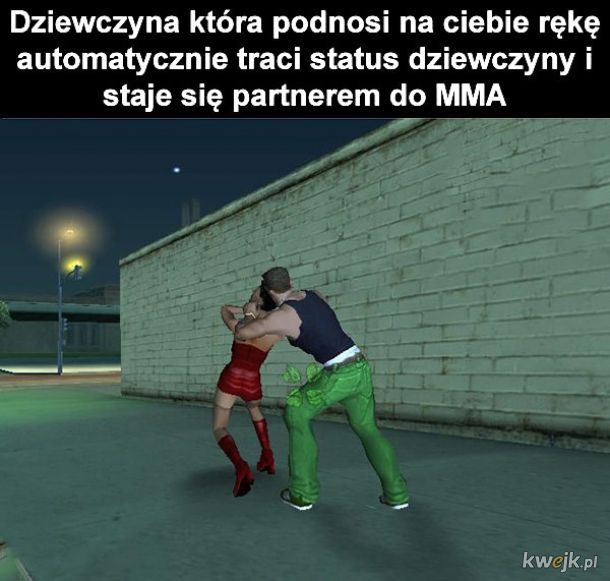 Partner MMA
