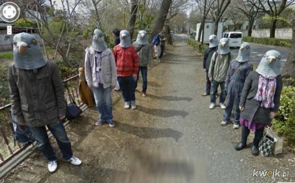 Dziwne zdjęcia z Google Street View, obrazek 28