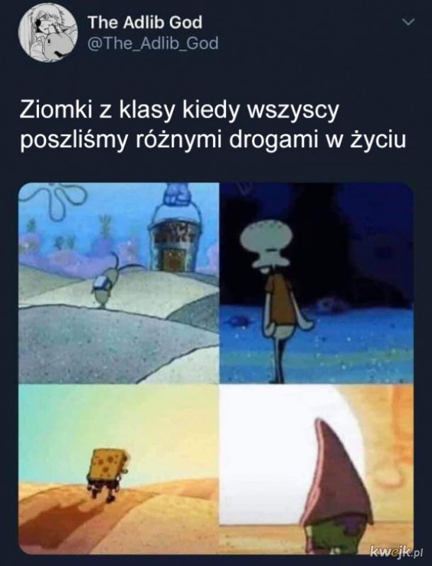 Ziomki