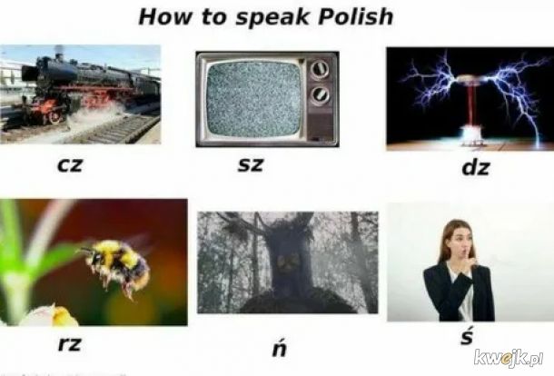 Nauka Polskiego