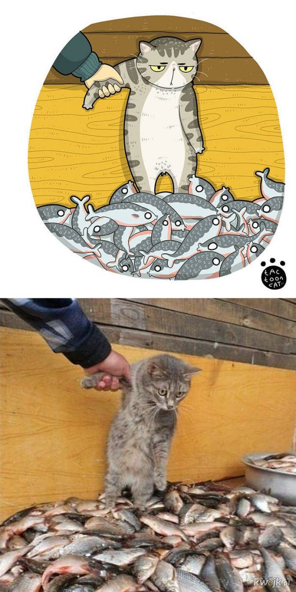 Najsłynniejsze internetowe kotki zilustrowane przez Tactooncat