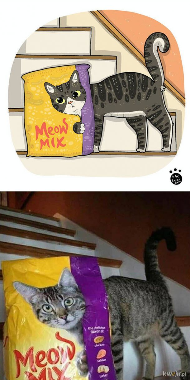 Najsłynniejsze internetowe kotki zilustrowane przez Tactooncat, obrazek 26