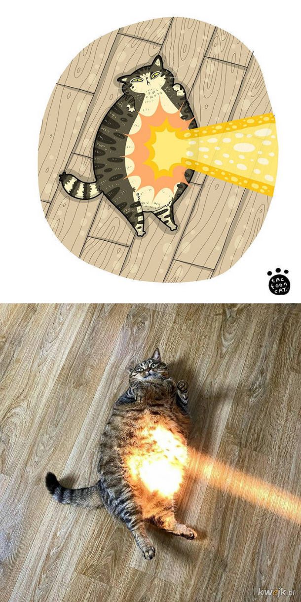 Najsłynniejsze internetowe kotki zilustrowane przez Tactooncat