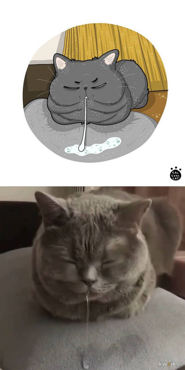 Najsłynniejsze internetowe kotki zilustrowane przez Tactooncat, obrazek 27