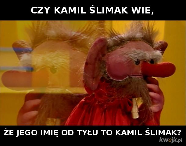 Kamil Ślimak