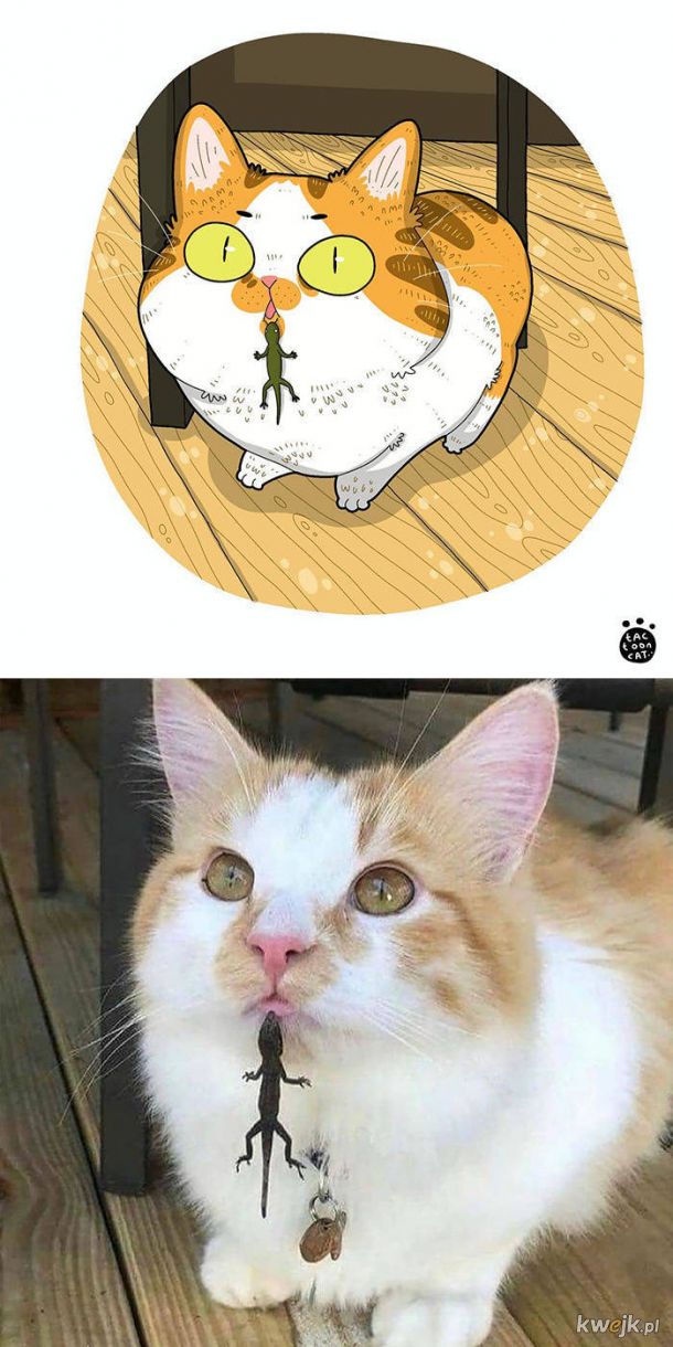 Najsłynniejsze internetowe kotki zilustrowane przez Tactooncat, obrazek 20