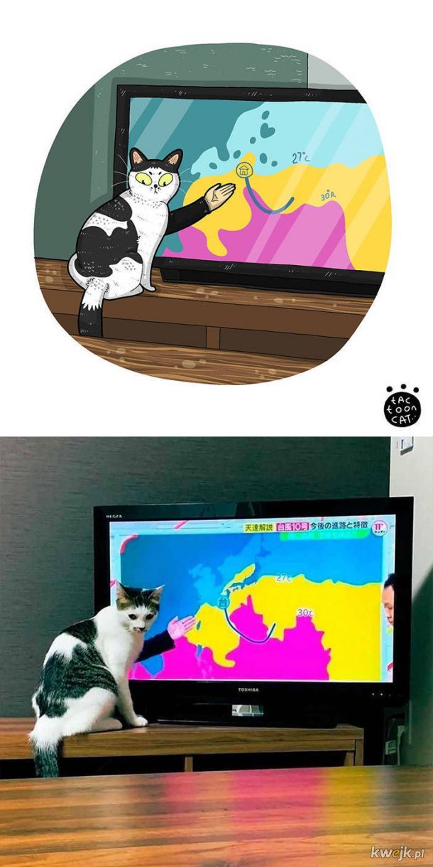 Najsłynniejsze internetowe kotki zilustrowane przez Tactooncat, obrazek 25