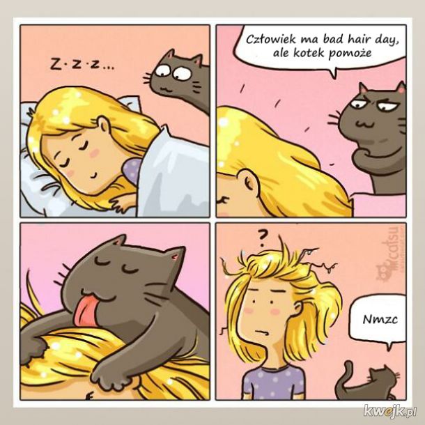Komiksy o życiu z kotem, obrazek 3