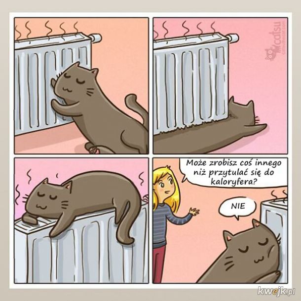 Komiksy o życiu z kotem, obrazek 7