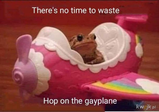 Gay frogs