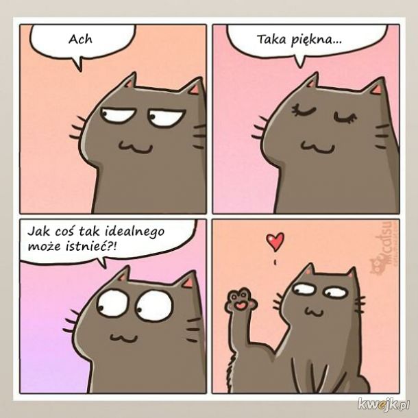 Komiksy o życiu z kotem
