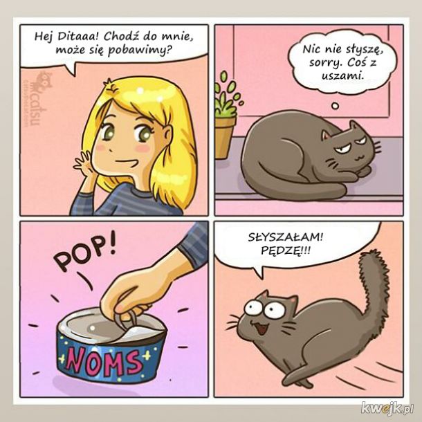 Komiksy o życiu z kotem, obrazek 8