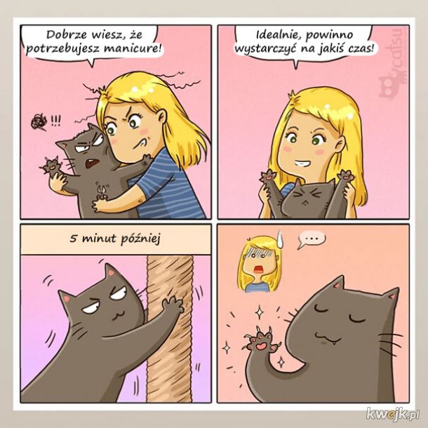 Komiksy o życiu z kotem, obrazek 5