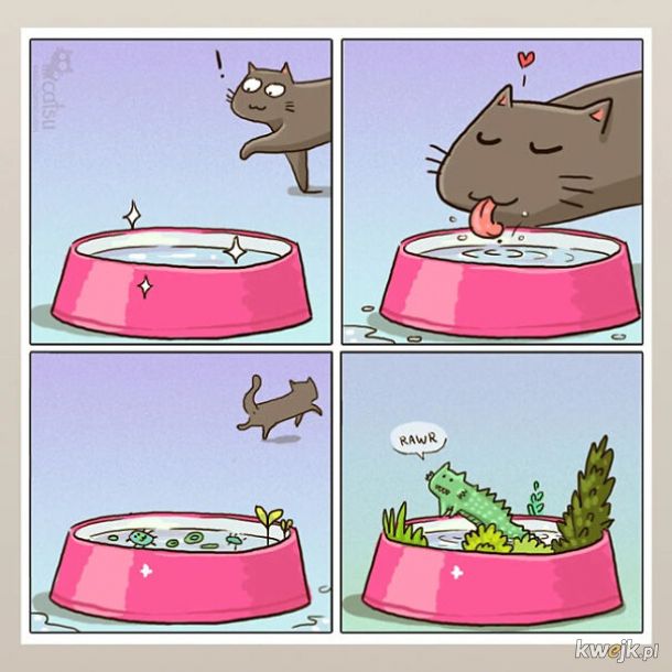 Komiksy o życiu z kotem, obrazek 2