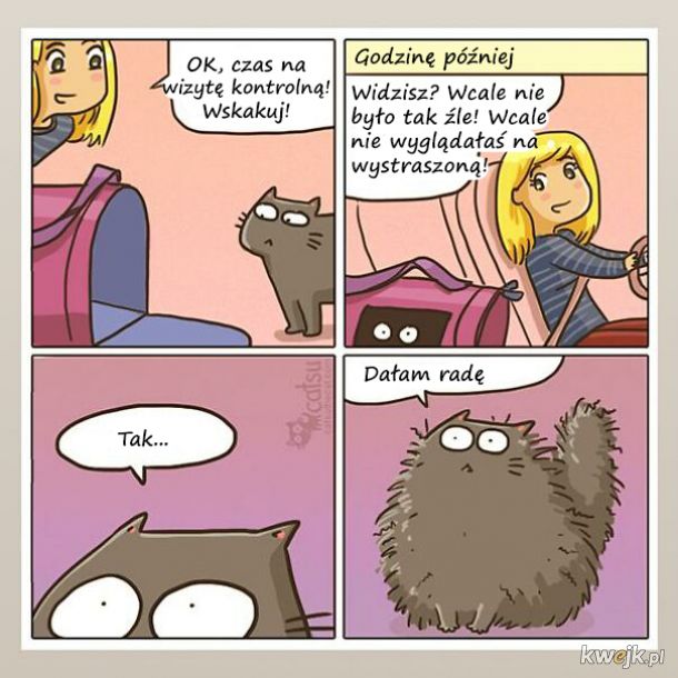 Komiksy o życiu z kotem, obrazek 10