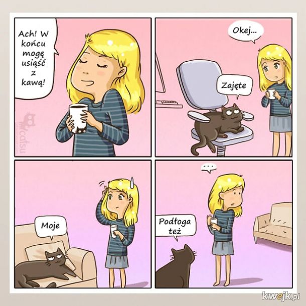 Komiksy o życiu z kotem, obrazek 6