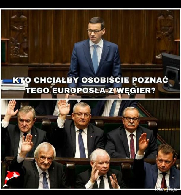 Wysyp memów po przyłapaniu na seksparty konserwatywnego węgierskiego eurodeputowanego, obrazek 16