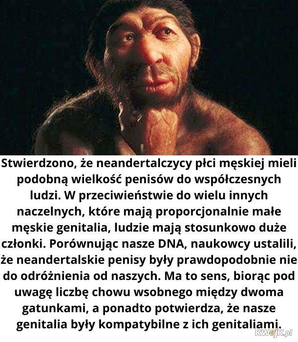 Kilka ciekawostek o życiu seksualnym neandertalczyków